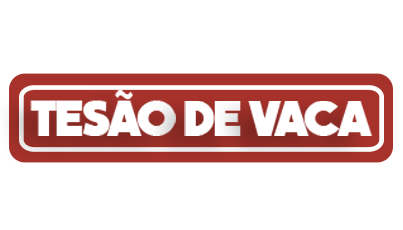 logo TESÃO DE VACA